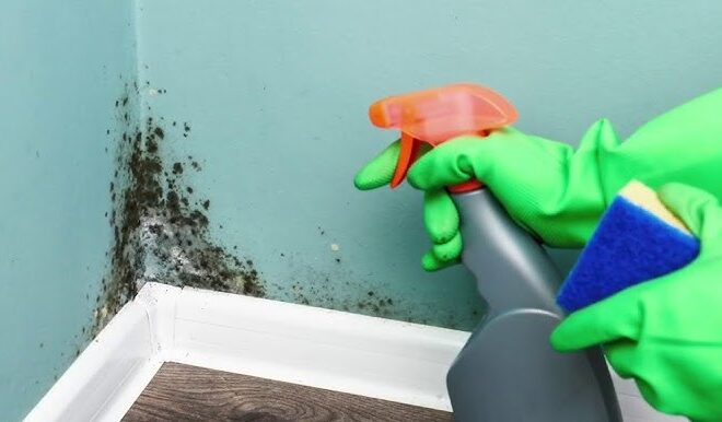 What To Do Immediately After Discovering Water Damage In Your Home?