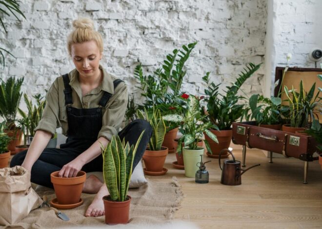 Repurposed Planters: Breathing New Life into Old Containers