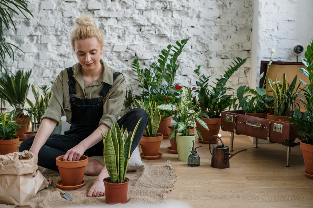 Repurposed Planters: Breathing New Life into Old Containers