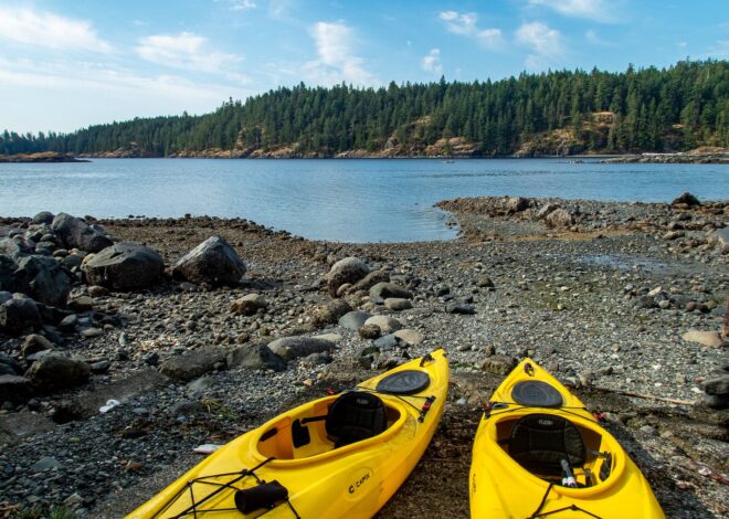 Micro-Adventures: Finding Big Joy in Small Escapes