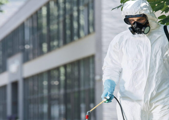 Why Choose Hilux Pest Control for Termite Protection? A Comparison of Termite Inspection, Chemical Termite Barriers, and Termite Reticulation Systems in Melbourne