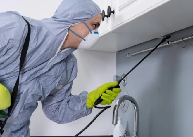 Secret Reasons and Tips to Protect Your Home with Termite Inspection, Barriers, and Reticulation in Melbourne – Orbit Pest Control